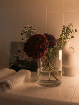 Studio Stéphanie Paris